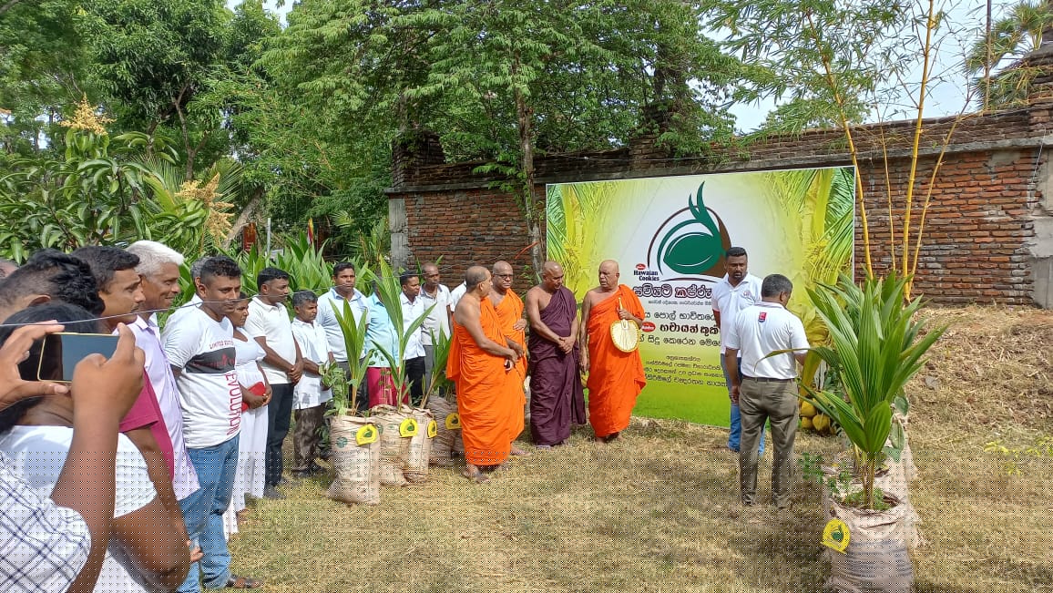 Hawaiian Kapruka - Image 4